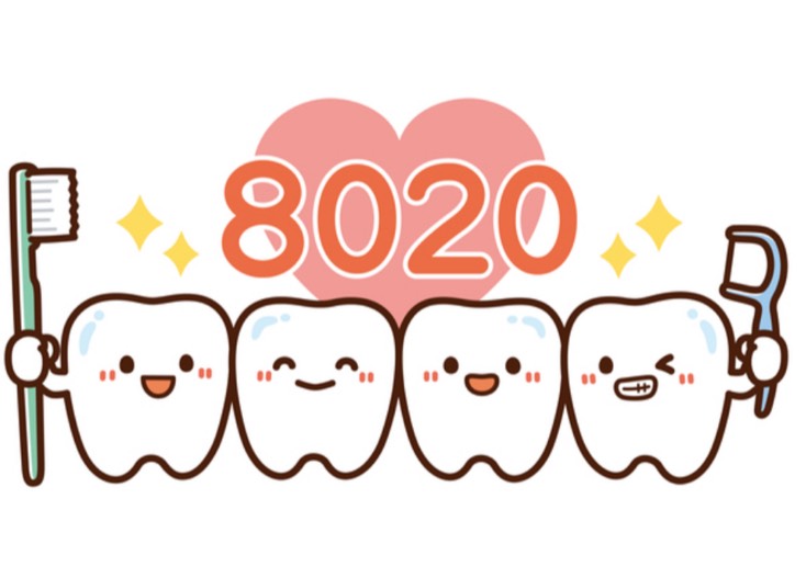 80歳になっても美味しく食べる！「8020運動」の目的と大切な歯を守るポイント